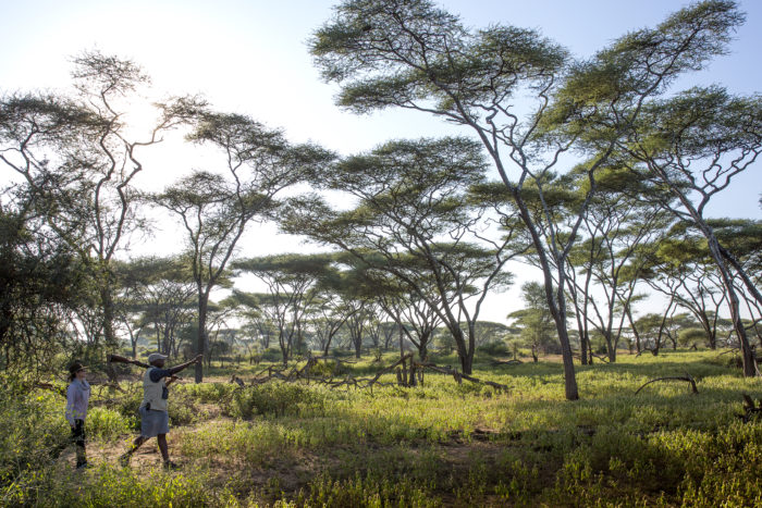 ROAR Luxury Destinations Press 22