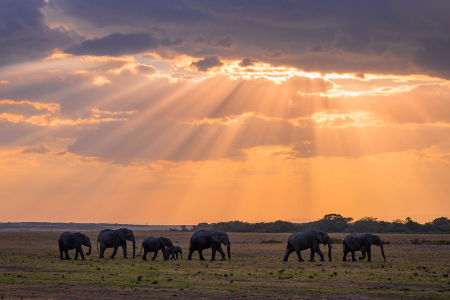 Kenya Migration