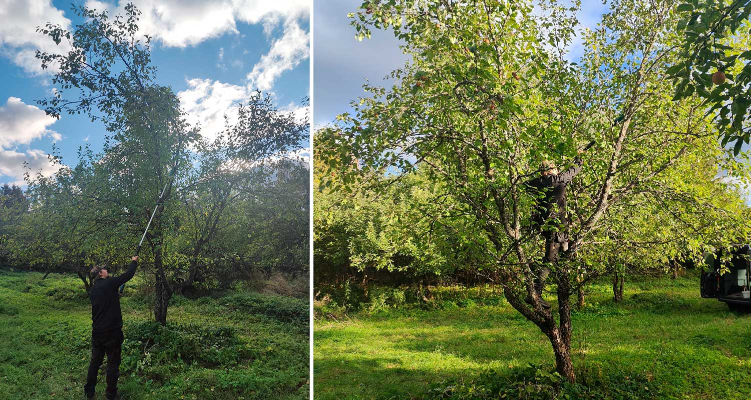 ammattilaisen-testissa-makita-akkuketjusaha-tyovaatteet-turvakengat-krauta-ak-puun-leikkaus