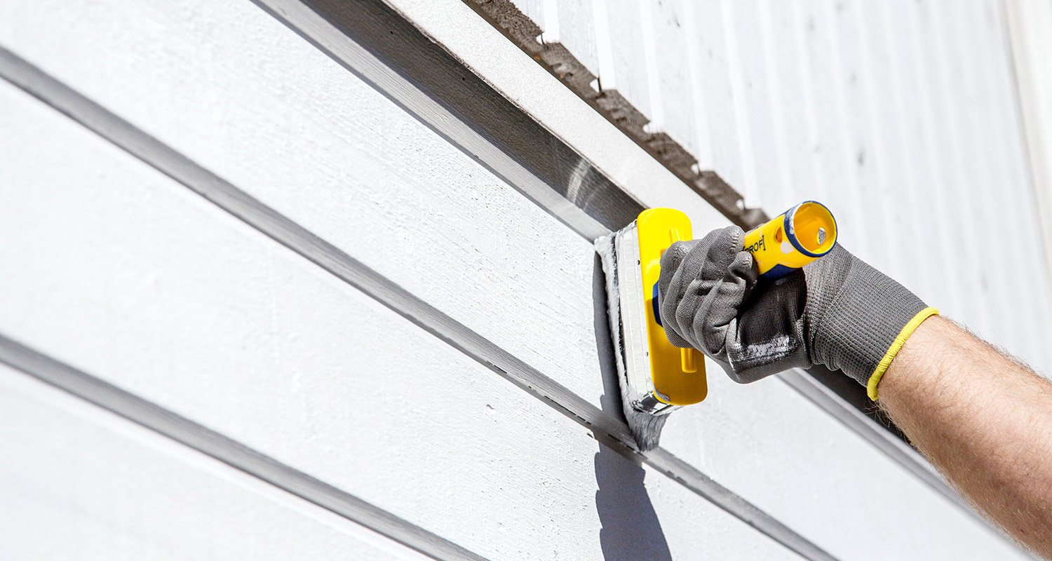 valkoisen talon maalaus