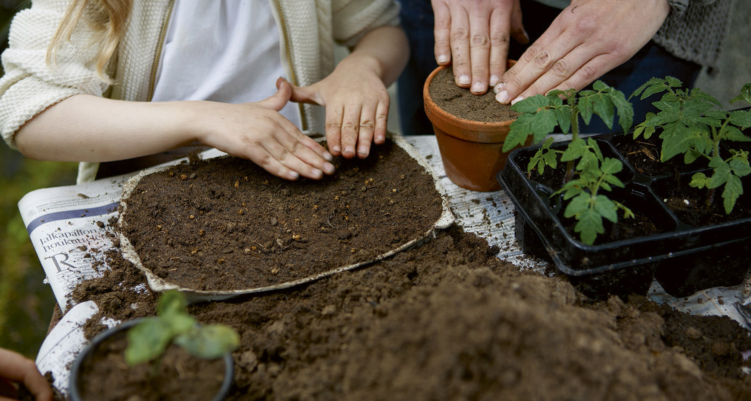 Aikuisen ja lapsen kädet muovaavat multaa terrakottaruukkuun, viereellä vihreitä taimia.