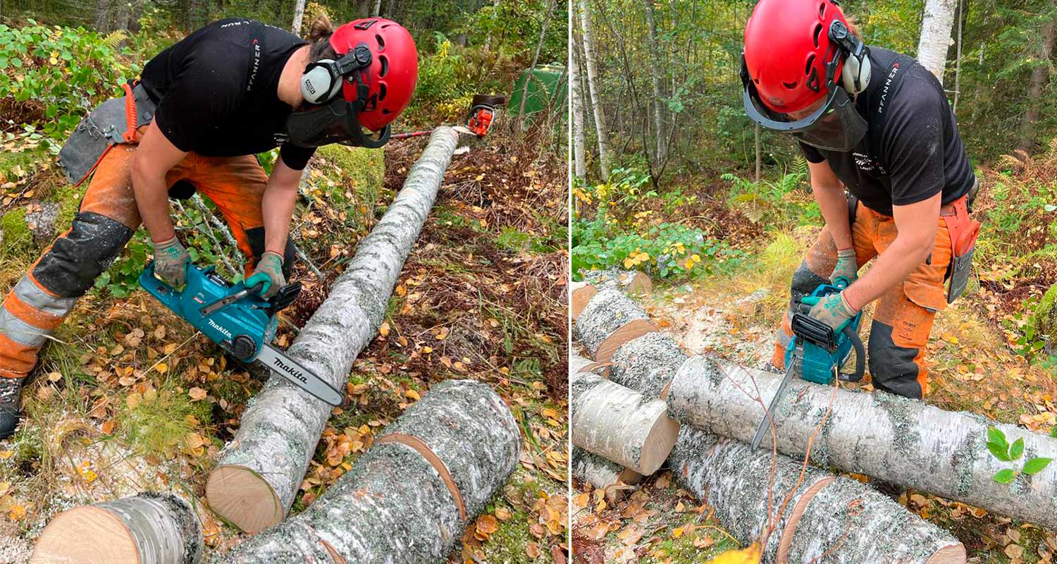 Puunrungon pilkkominen Makitan moottorisahalla menossa