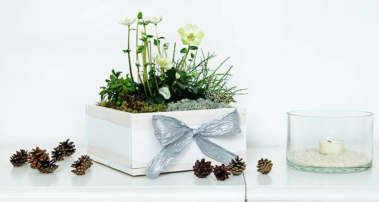 Matala ja neliön mallinen puinen kukkalaatikko, katso teko-ohje!