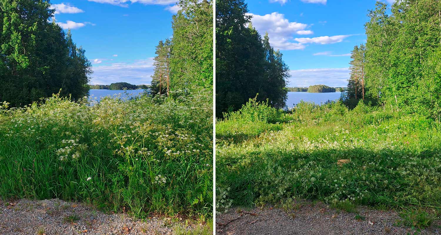 Tien laidan pusikot ennen Echo-ruohoraivuria ja sen käytön jälkeen. Echo-koneet K-Raudasta!