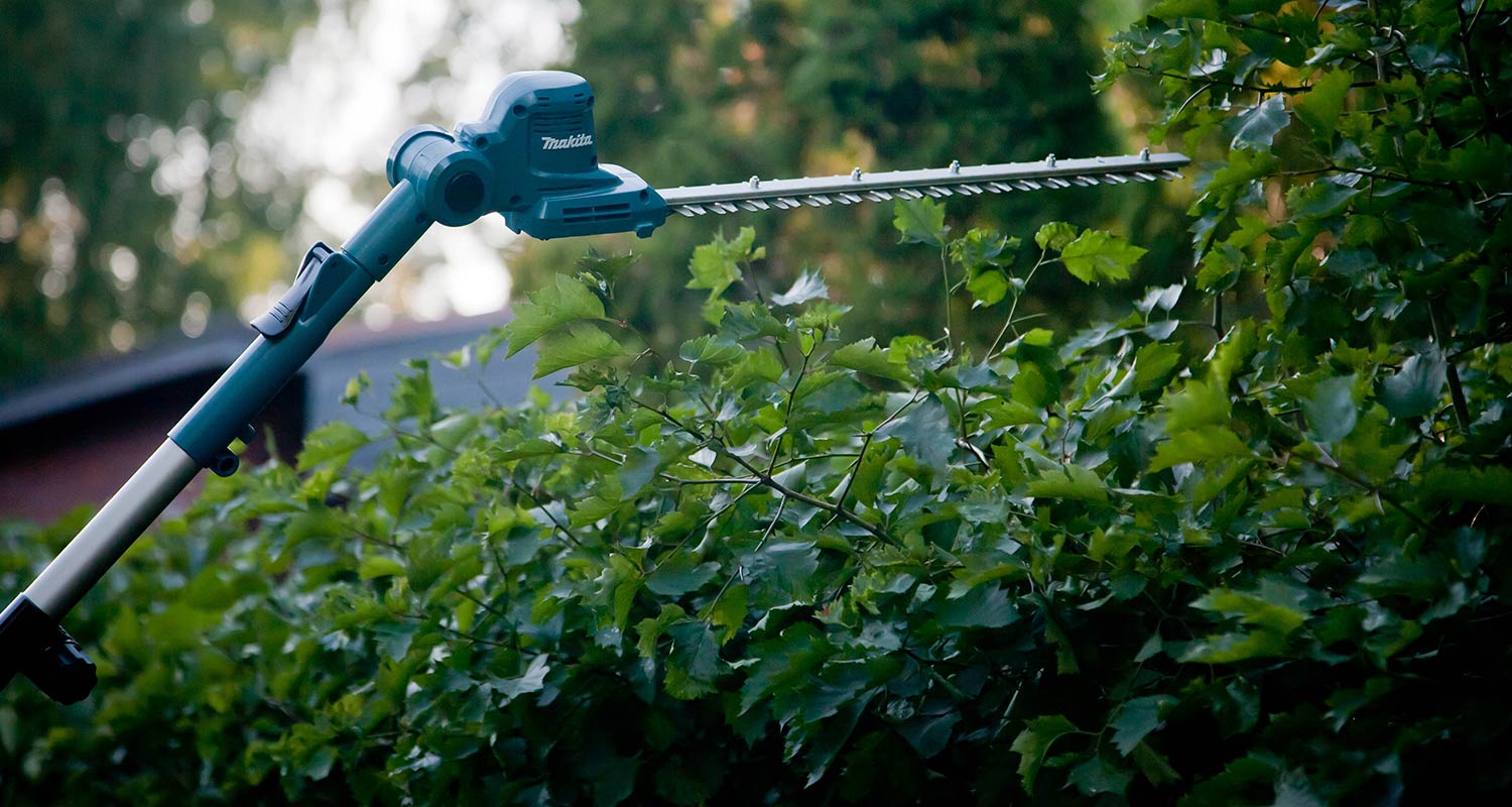 Testissä pensasleikkuri DUN461WZ 18V LXT Makitalta aitojen pensasaitojen leikkauksessa