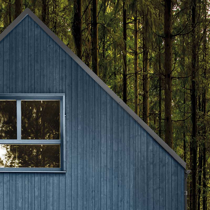 Sininen puumökki isolla ikkunalla, taustalla tiheä vihreä havumetsä