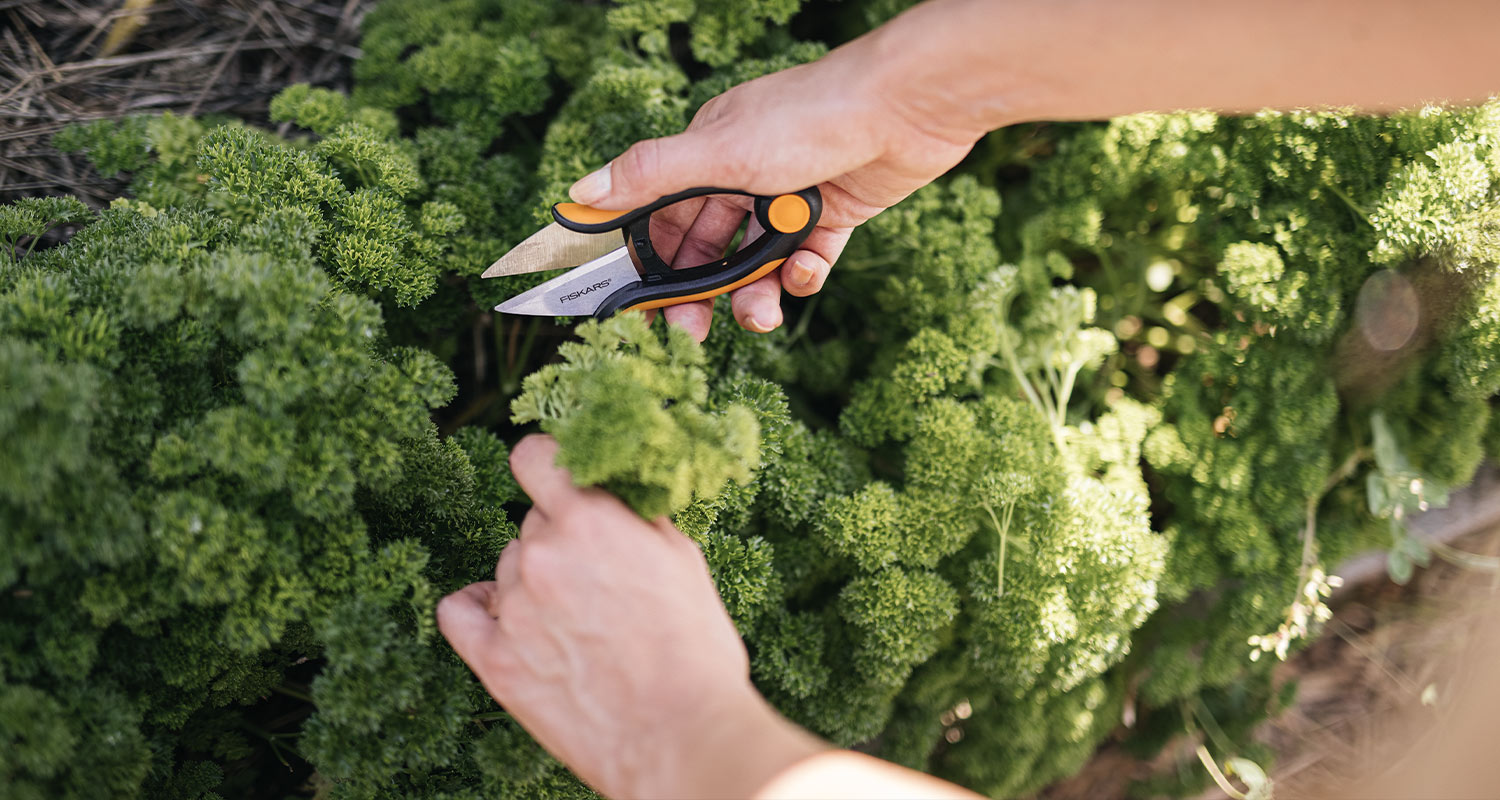 Fiskarsin oksasakset.