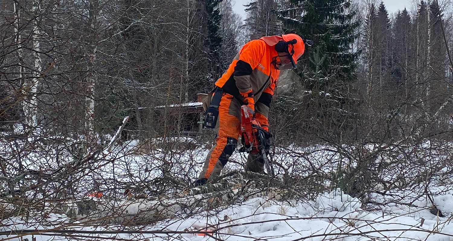 Testissä puiden sahauksessa Echo-moottorisaha mallia CS 4920, saha myynnissä K-Raudassa