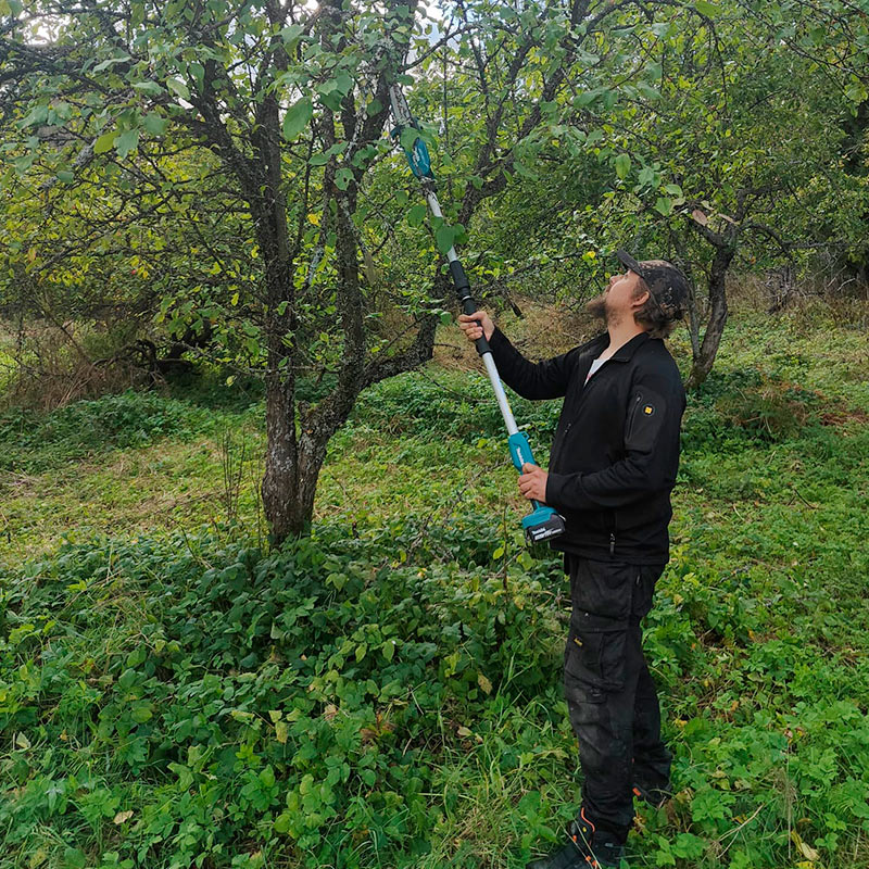 Ammattilainen siistii puuta Makita DUA200Z 18V LXT -akkuketjusahalla.