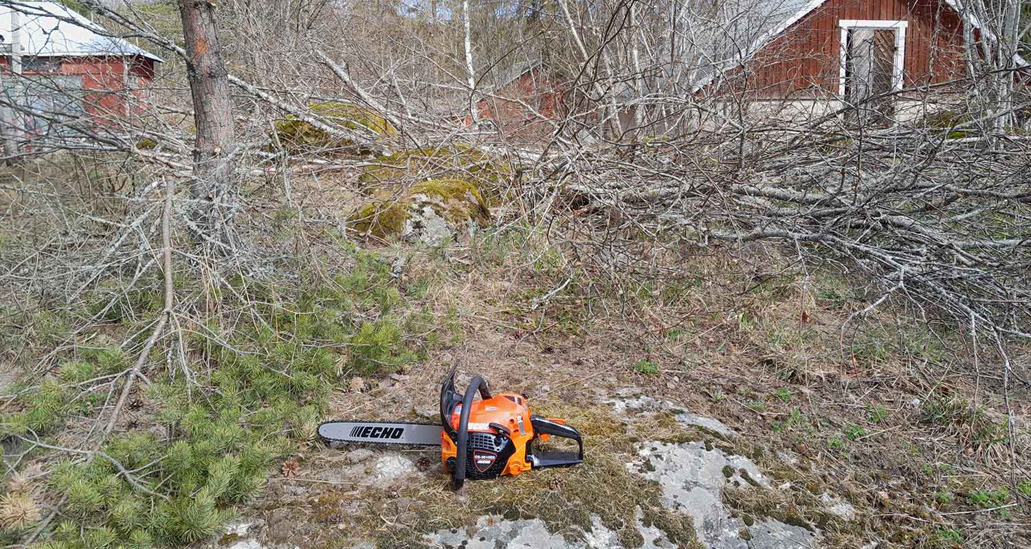 Risukko ennen raivausta