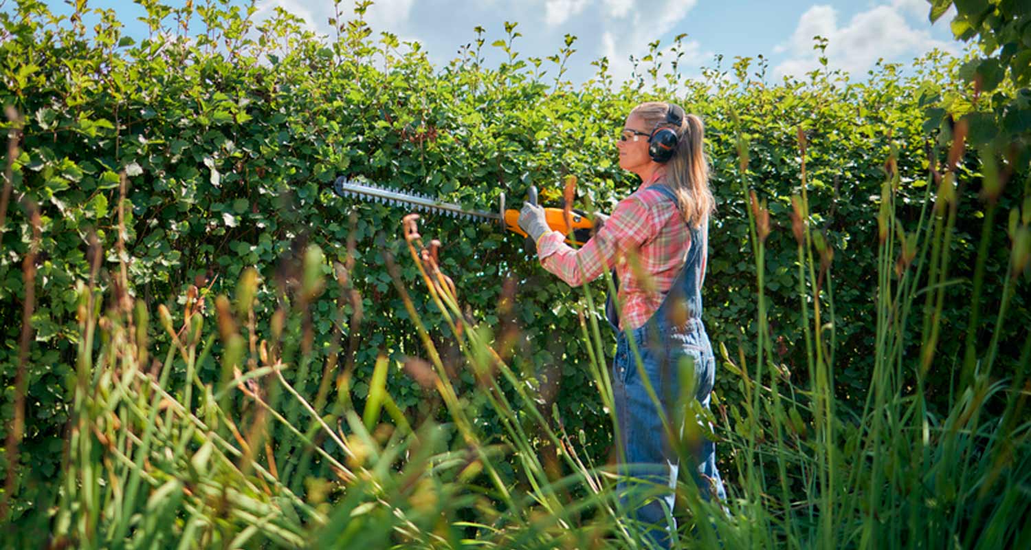Nainen ruutupaidassa ja työhaalarissa trimmaa oranssilla sähkökoneella tummanvihreää aitaa.