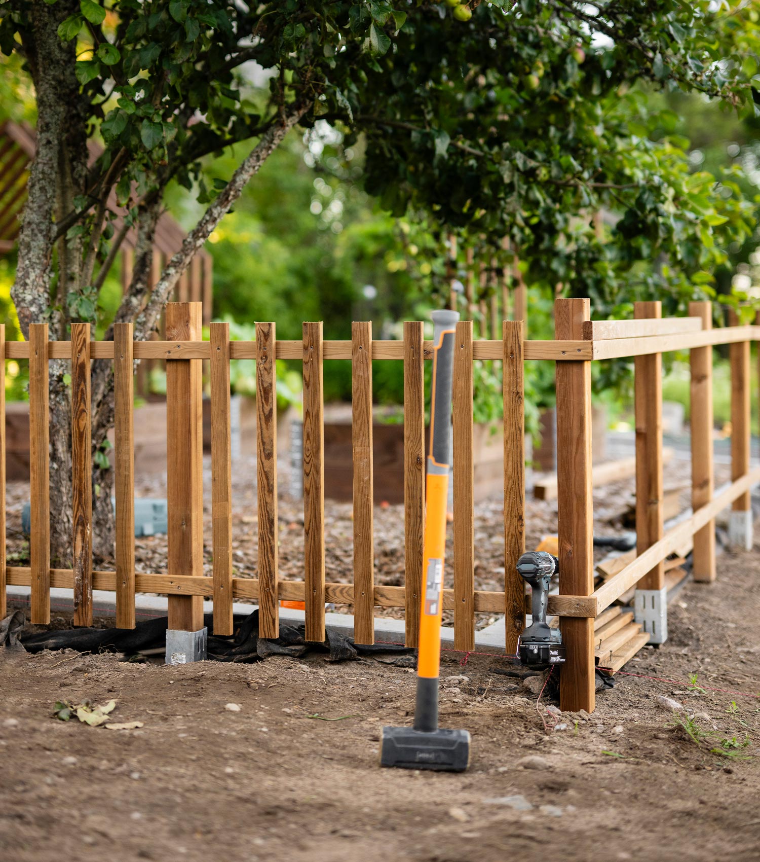 Aidan rakentaminen: Valmis aita kasvimaan ympärillä.
