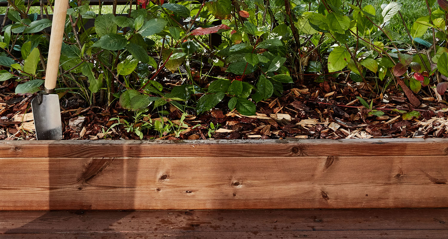 Vaaleanruskea puureuna, multaa ja vihreitä lehtiä kasvulaatikossa, lapio pystyssä.