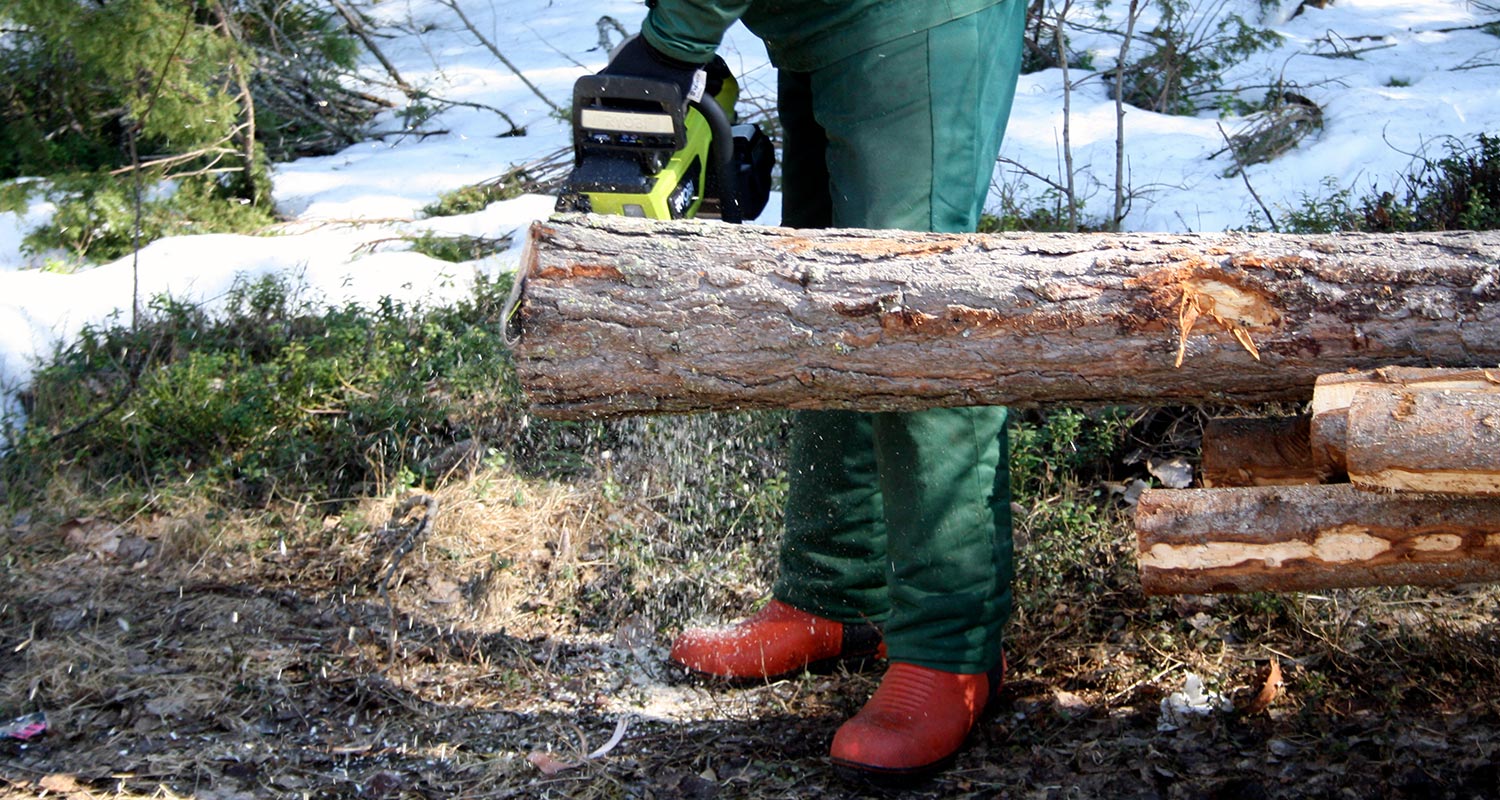 Puun kaato Ryobin akkuketjusahalla