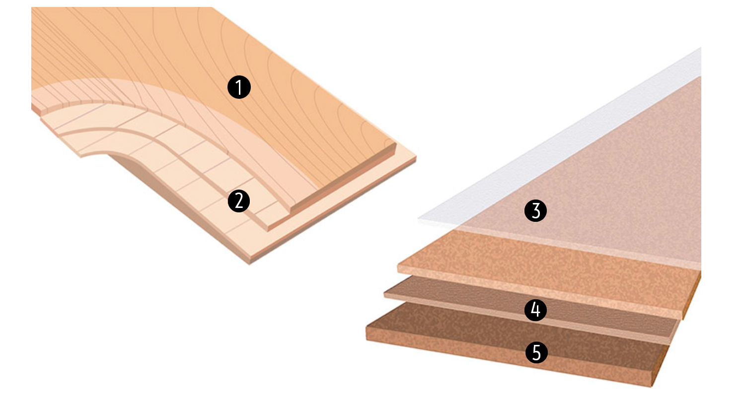 Puulattian kerroskuva: vasen vaalea pintapuu (1–2), oikea valkoinen alusta (3) ja ruskea pohja (4–5)