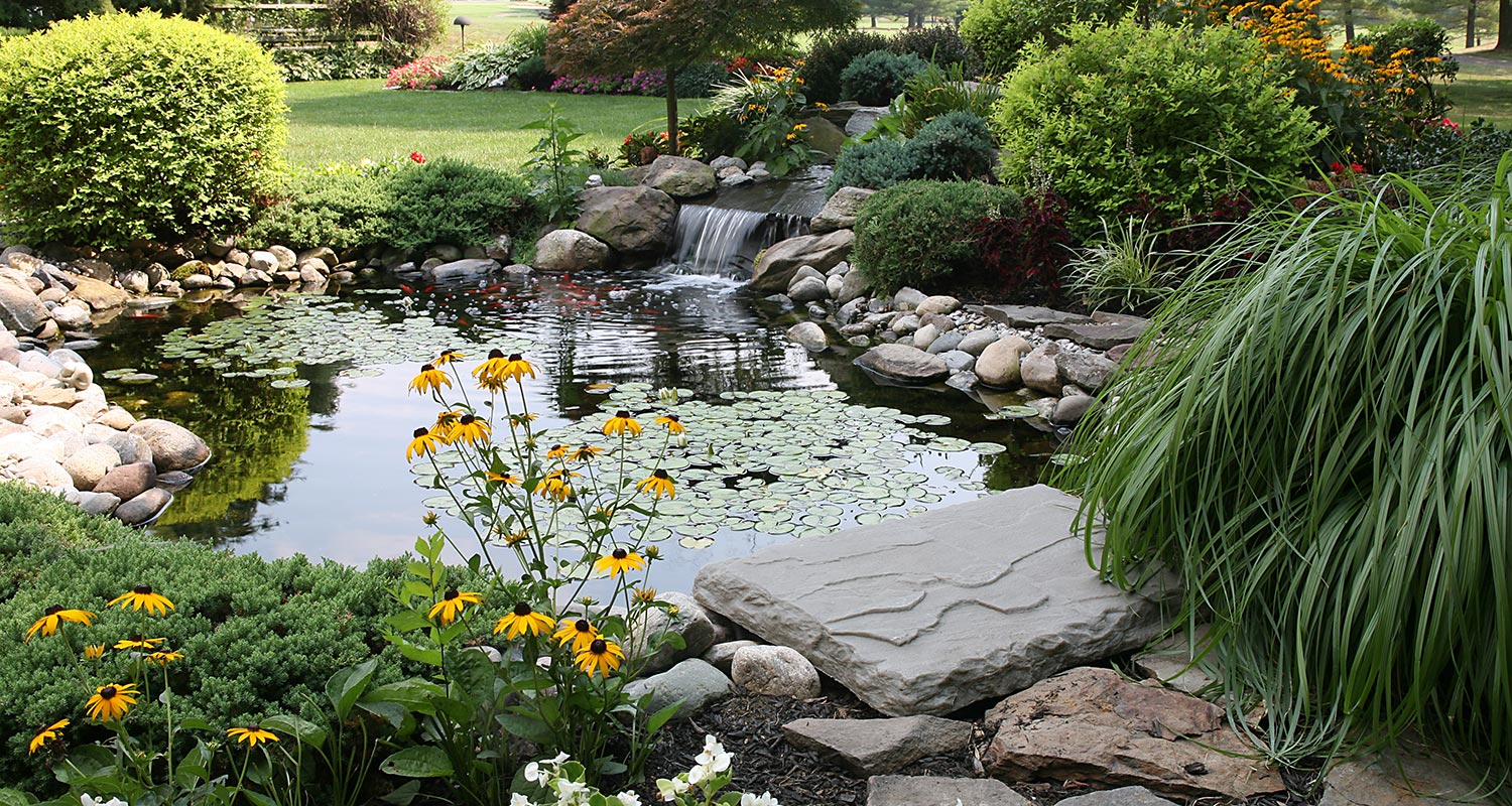 Puutarhalampi kivireunuksin ja vesiputous, lumpeenlehdet, vihreät pensaat ja keltaiset kukat.
