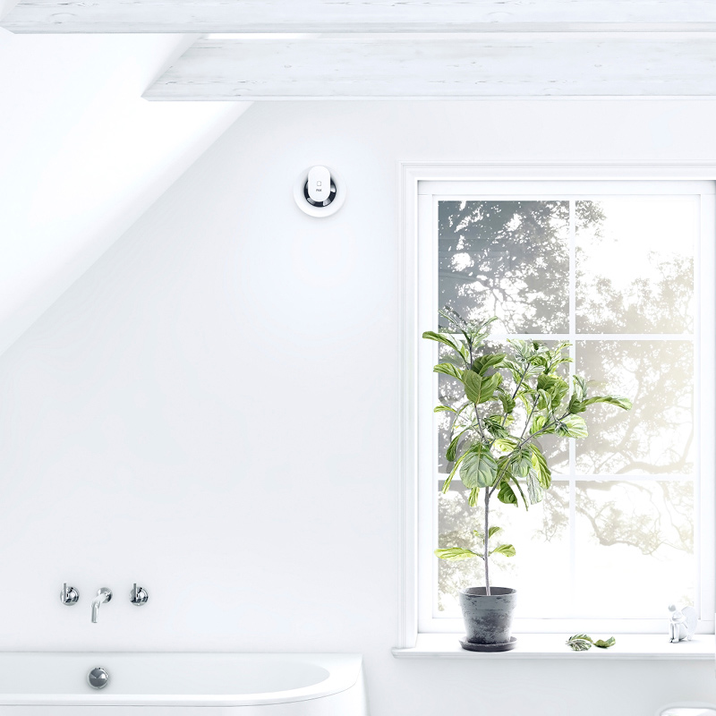 Valkoisessa minimalistisessa kylpyhuoneessa amme vasemmalla ja ikkunan edessä ruukussa vihreä kasvi