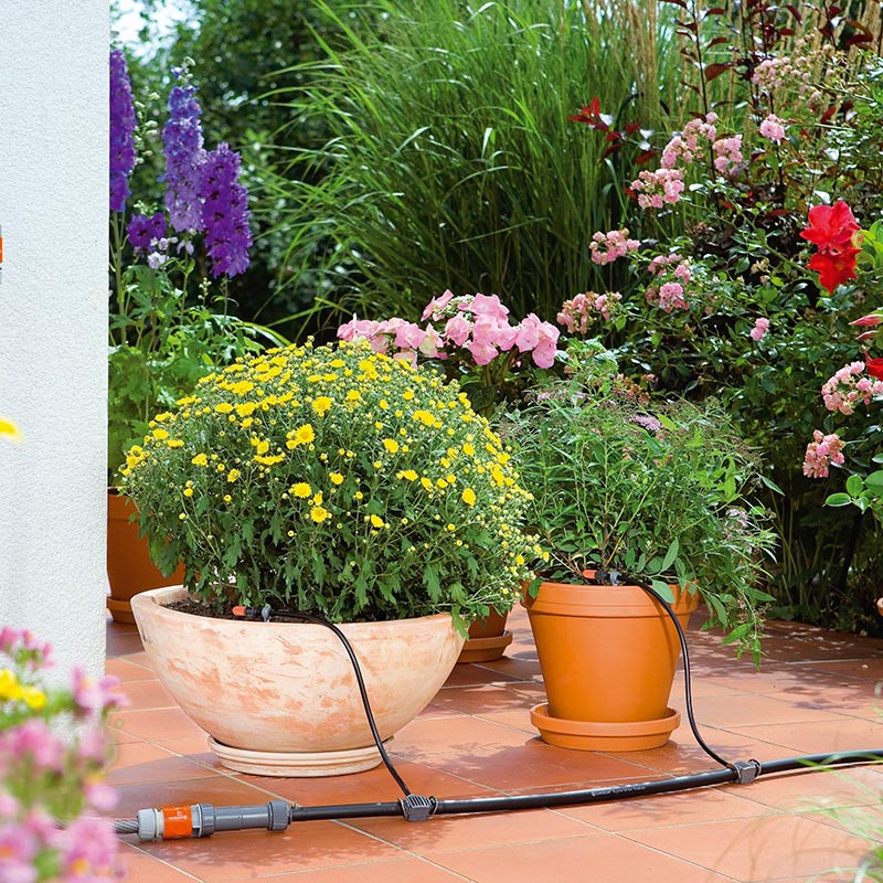 Terrakottaruukuissa keltaisia ja vaaleanpunaisia kukkia terassilla mustan kasteluletkun kera.