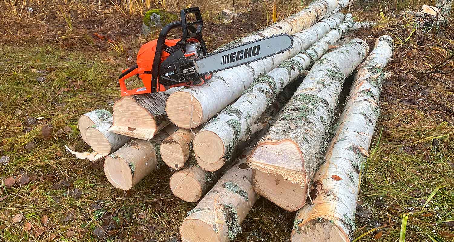 Testissä puiden sahauksessa Echo-moottorisaha mallia CS 4920, saha myynnissä K-Raudassa