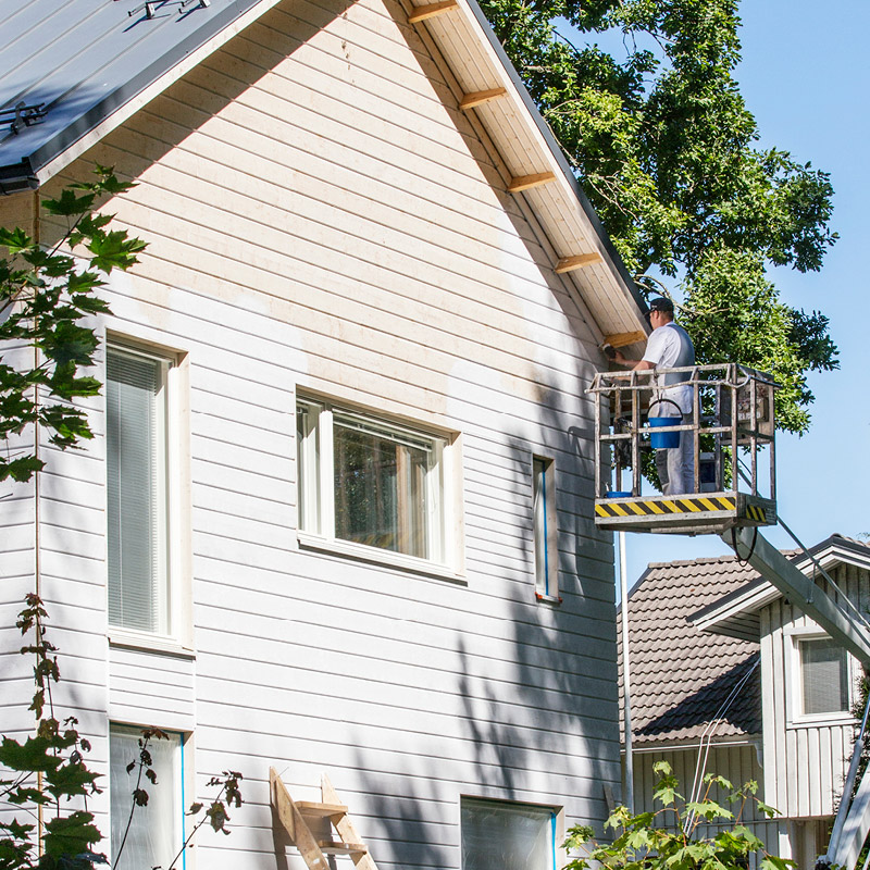 Kuvassa maalataan isoa taloa valkoisella talomaalilla. Kuvassa on kesä ja puissa lehdet.