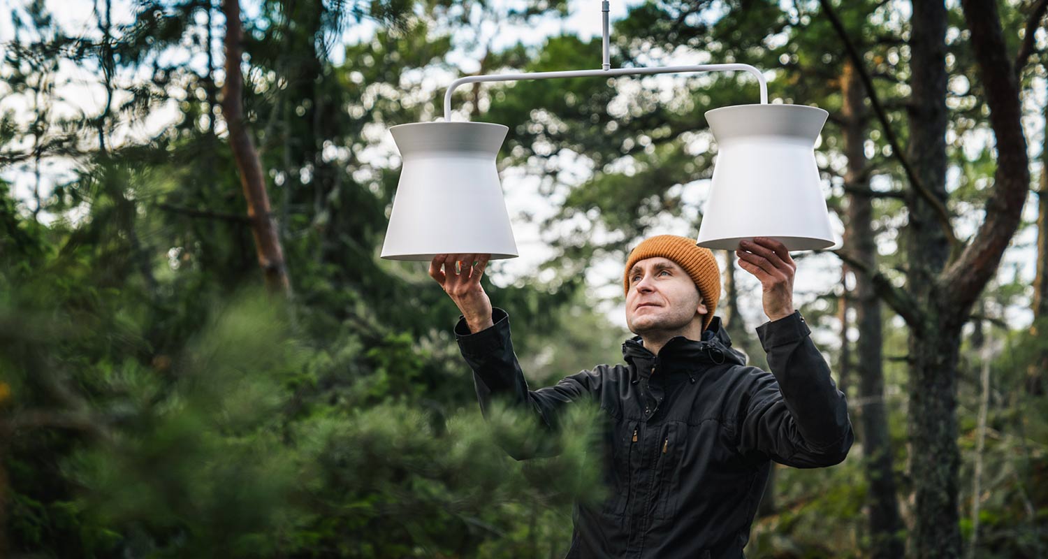 Sessak Kaksi valkoinen riippuvalaisin metsässä