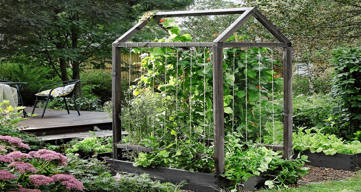 Kuvassa upea köynnöstuki istutuslaatikossa kesäisessä puutarhassa. Tee itse köynnöstuki K-Raudan ohjeilla ja tarvikkeilla.