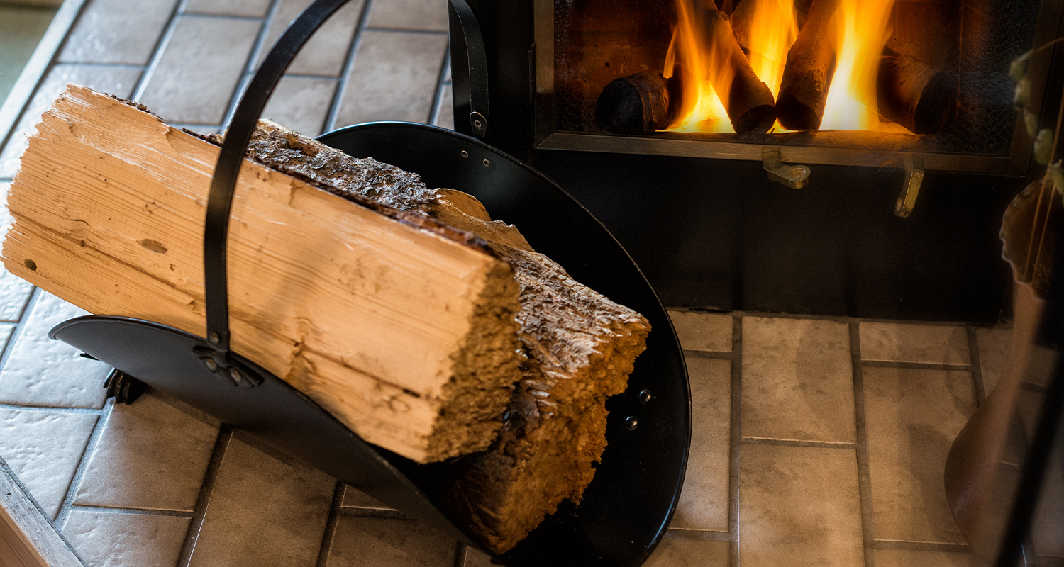 Kaksi klapia takan edessä.