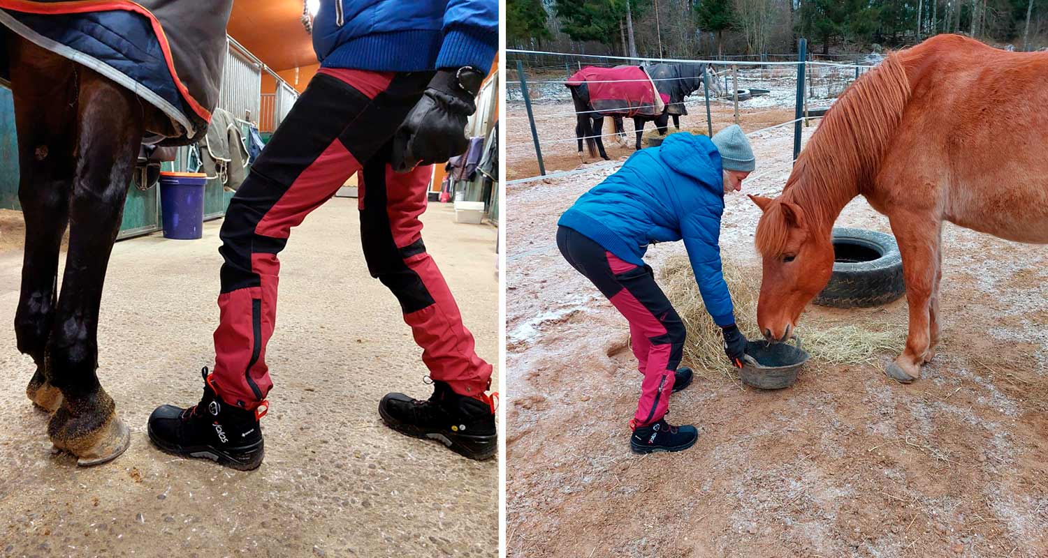 Tuotetestissä Jalas 9988 Exalter GTX turvakengät, hevosen hoidon yhteydessä jalassa