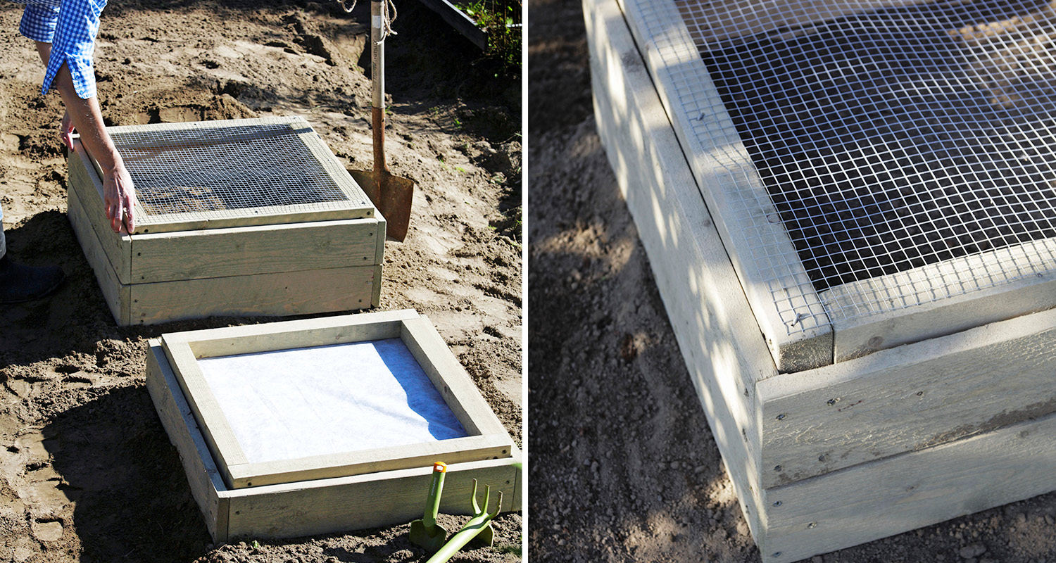 Vaaleat puiset kasvatuslaatikot hiekkaisella maalla, verkollinen kansi ja lapio.