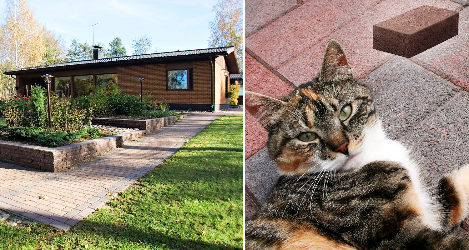 Tiilitalon pihaan selkeää pihakiveä, kissa punaisen pihakiven päällä