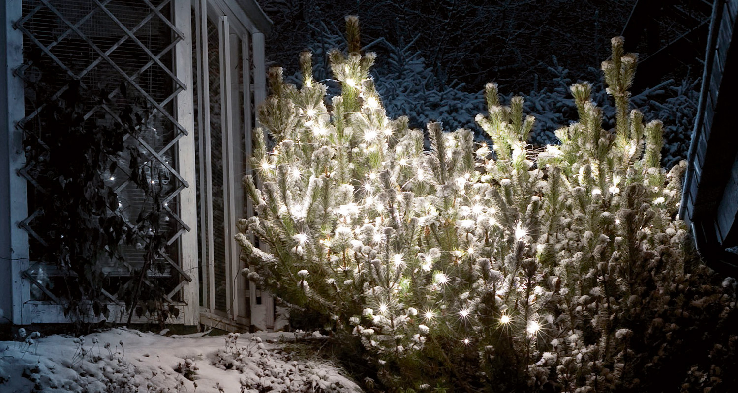 Valoverkko puutarhassa.