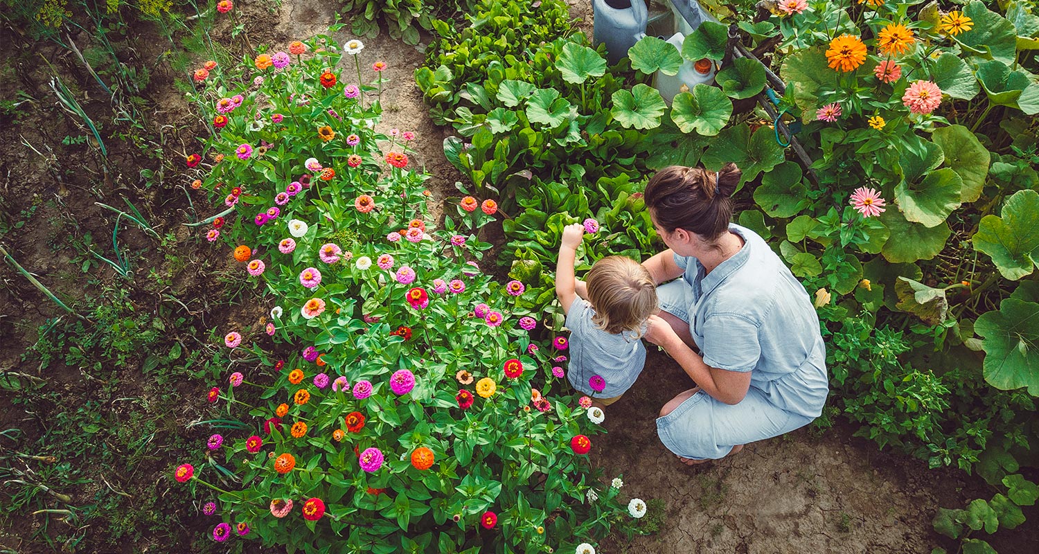 Aikuinen ja lapsi ihailevat oransseja, pinkkejä ja valkoisia kukkia rehevässä kukkapenkissä.