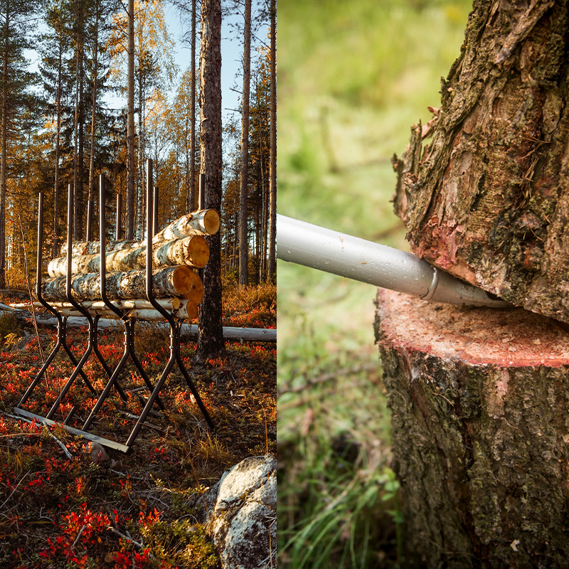 Metsässä metallitelinellä pinotut klapit punaisessa pohjassa, halkomaterä puristaa runkoa.