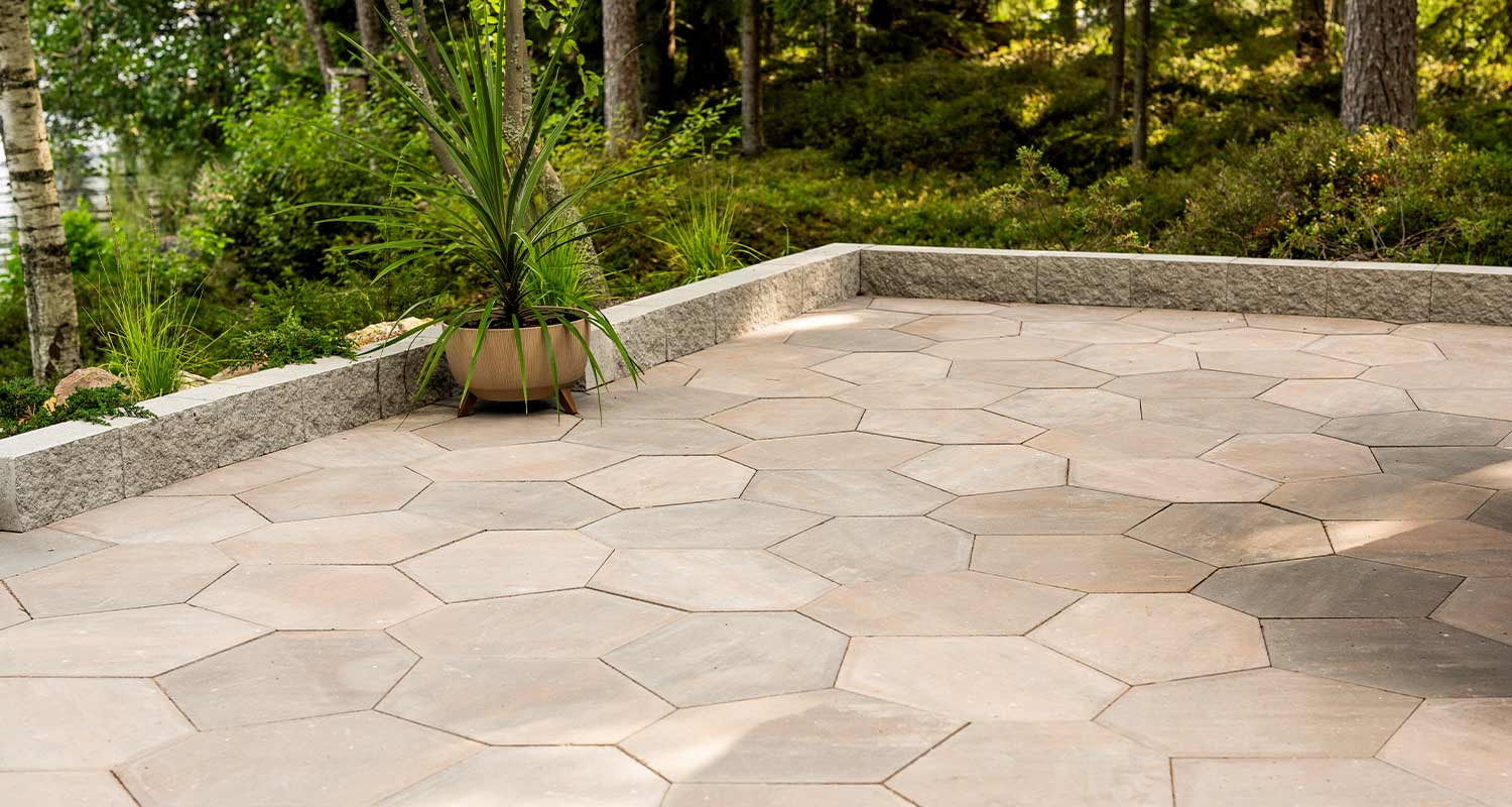 Beige-harmaa kuusikulmainen laatoitettu terassi metsän reunassa, ruukussa vihreä viherkasvi