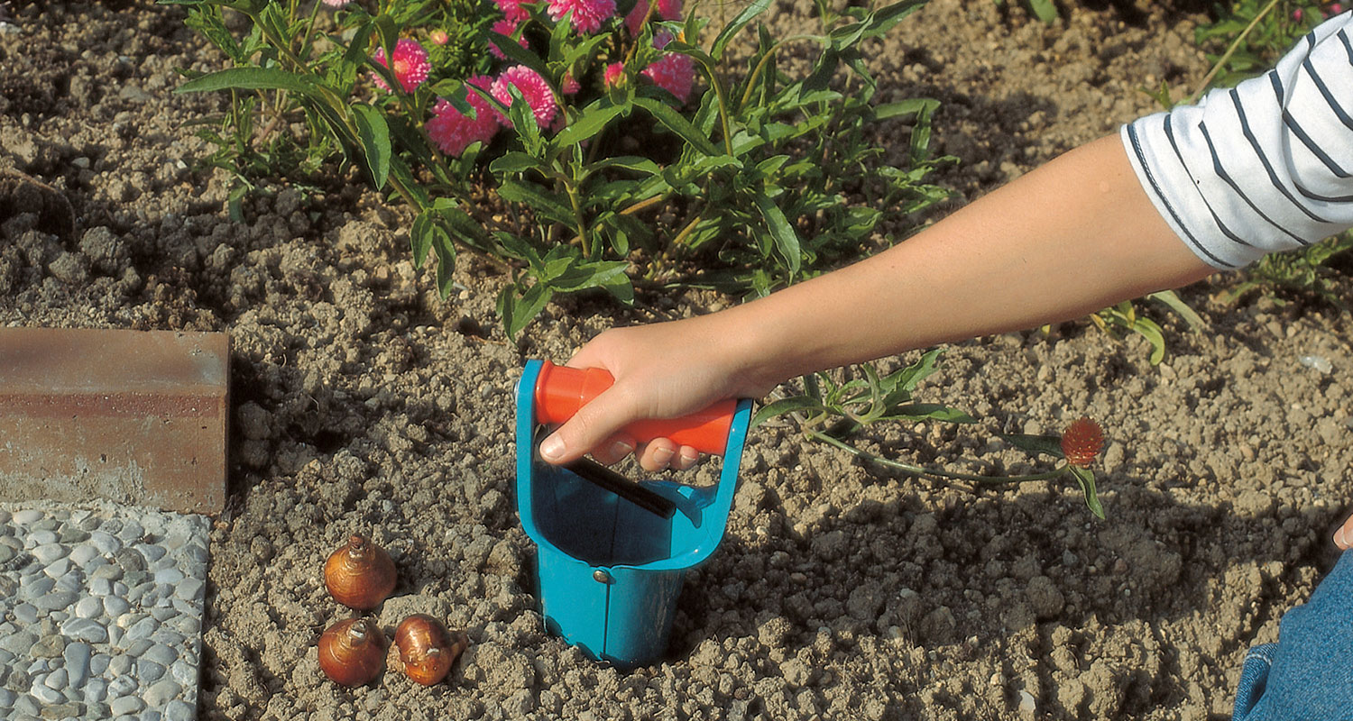 Käsi painaa sinioranssia sipulityökalua multaiseen kukkapenkkiin, taustalla pinkkejä kukkia.