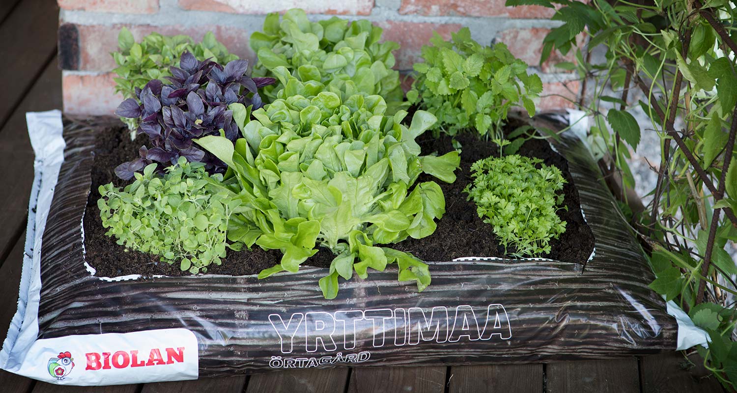 Biolan Yrttimaa 50 l kasvatussäkki salaateille ja yrteille K-Raudasta