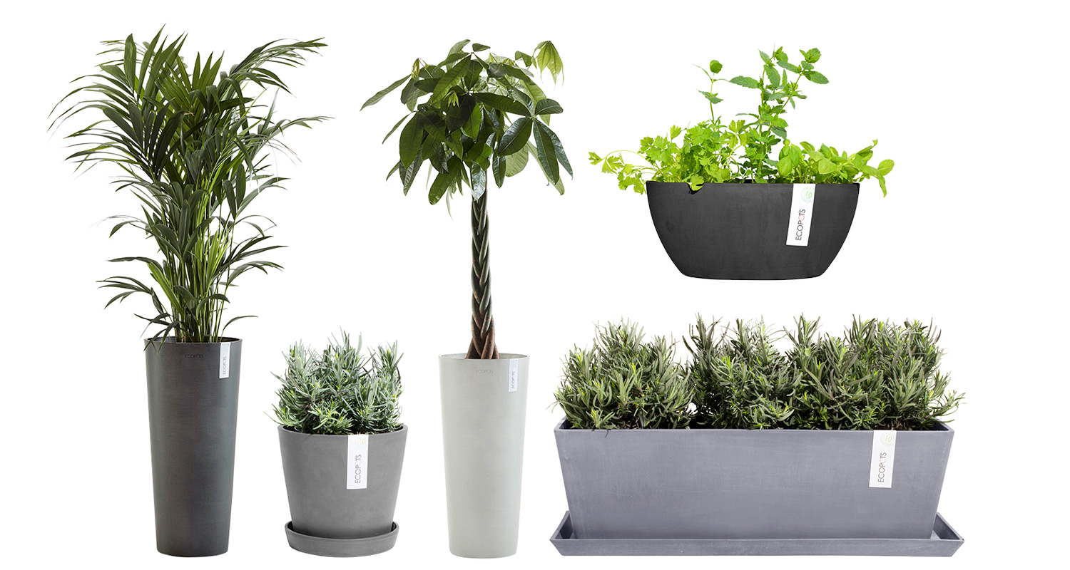 Pelkistetyt ja minimalistiset Ecopots-ruukut viherkasveille ja kukille K-Raudasta