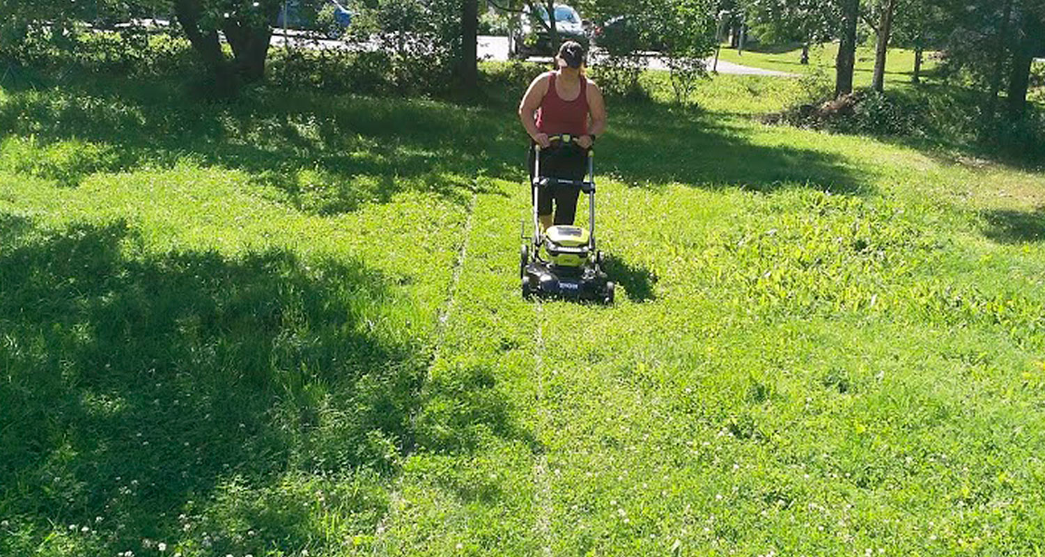 Ruohonleikkuu käynnissä Ryobin akkuruohonleikkurilla