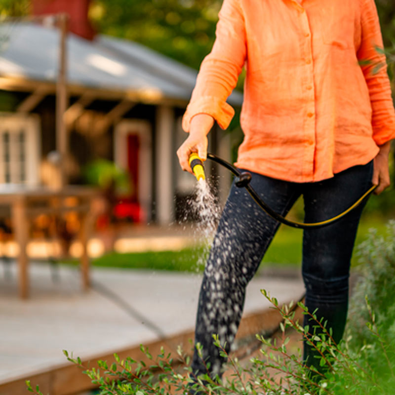 Kuvassa kastellaan pihaa puutarhaletkulla.