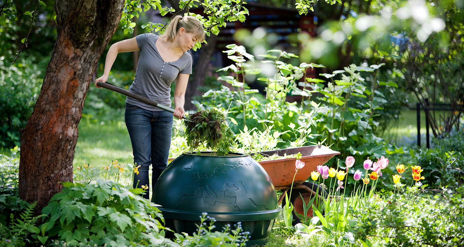 Nainen lapioi vihreään kompostoriin puutarhajätettä värikkäiden tulppaanien keskellä