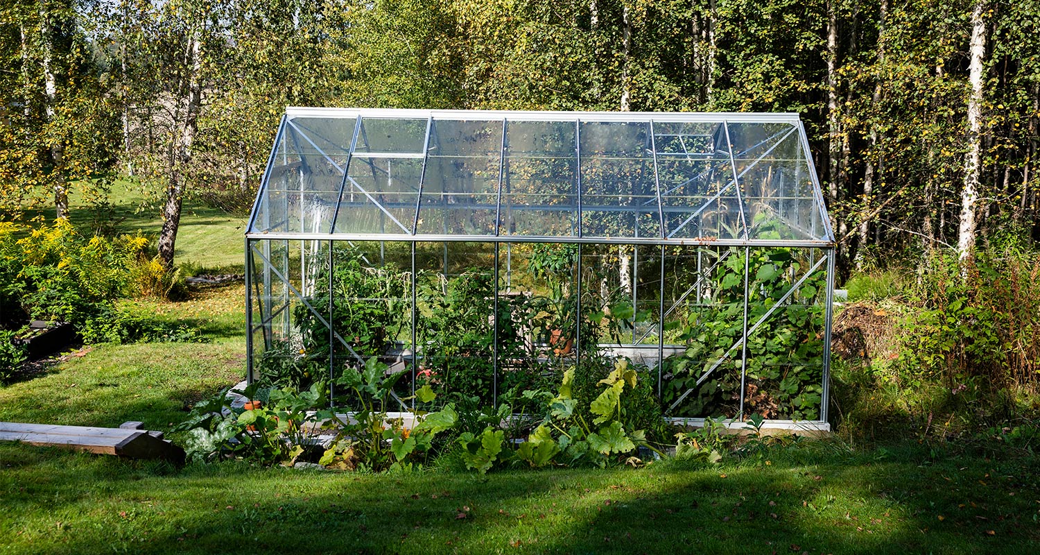 Valmis kasvihuone suomalaisessa puutarhassa. Kasvihuone on kasattu K-Raudan ohjeilla ja tarvikkeilla.