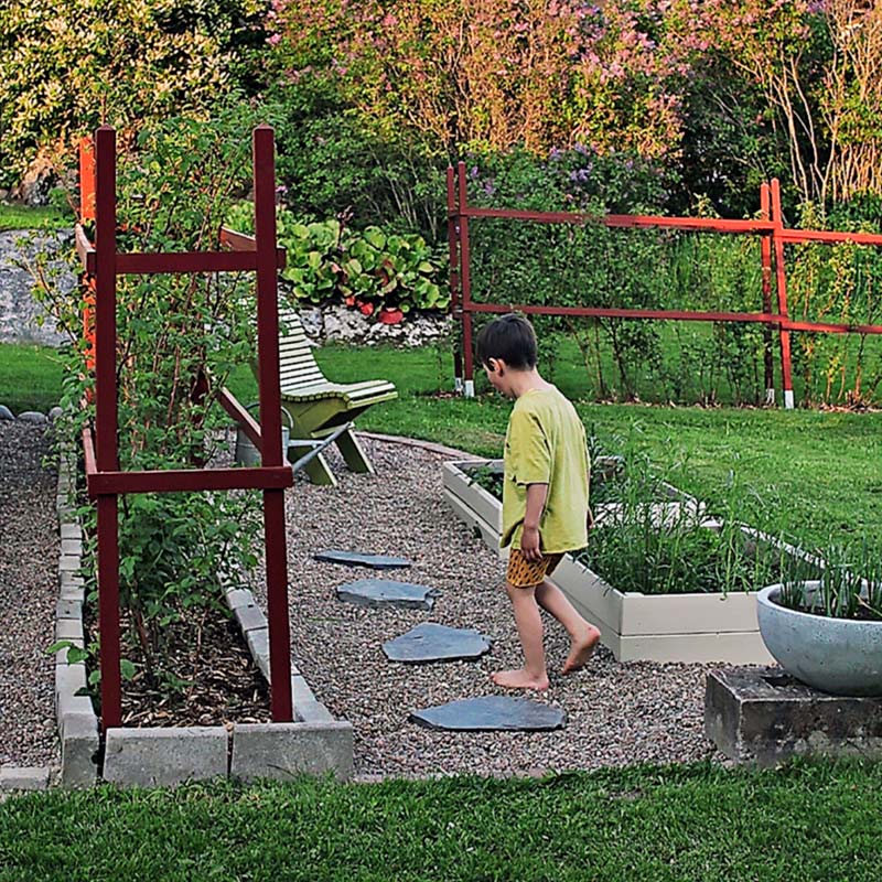 Lapsi keltaisessa paidassa kävelee kivipolulla viljelyslaatikoiden ja punaisen aidan vieressä.