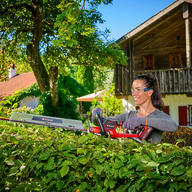 Punainen akkukäyttöinen pensasleikkuri leikkaa tiheää vihreää aitaa kesäisessä puutarhassa.
