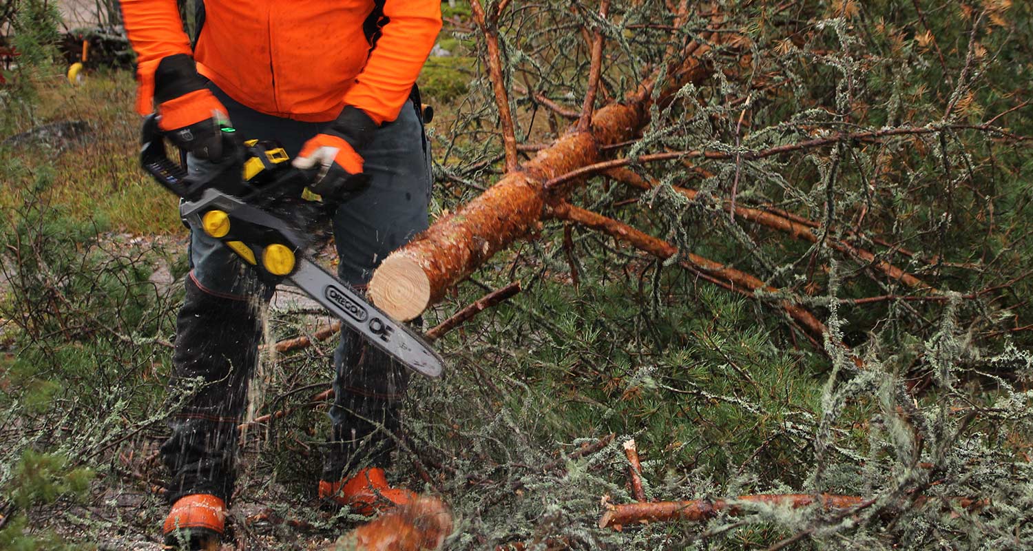 Puun pilkkominen metsässä FXA-sarjan akkuketjusahalla