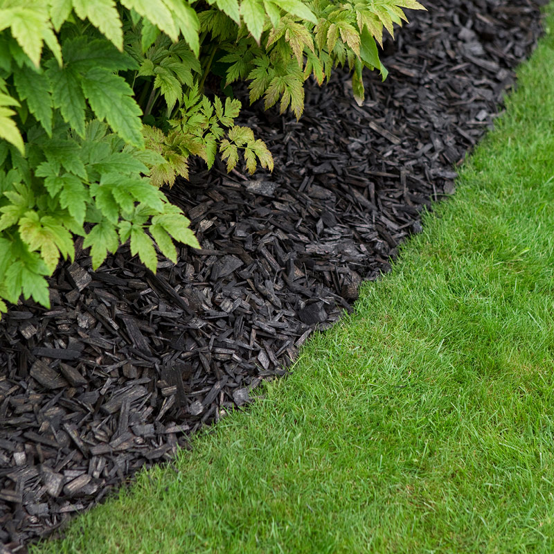 Puutarhan nurmikon ja pensaikon rajalla tumma puunkuorikerros ja vihreät lehdet.