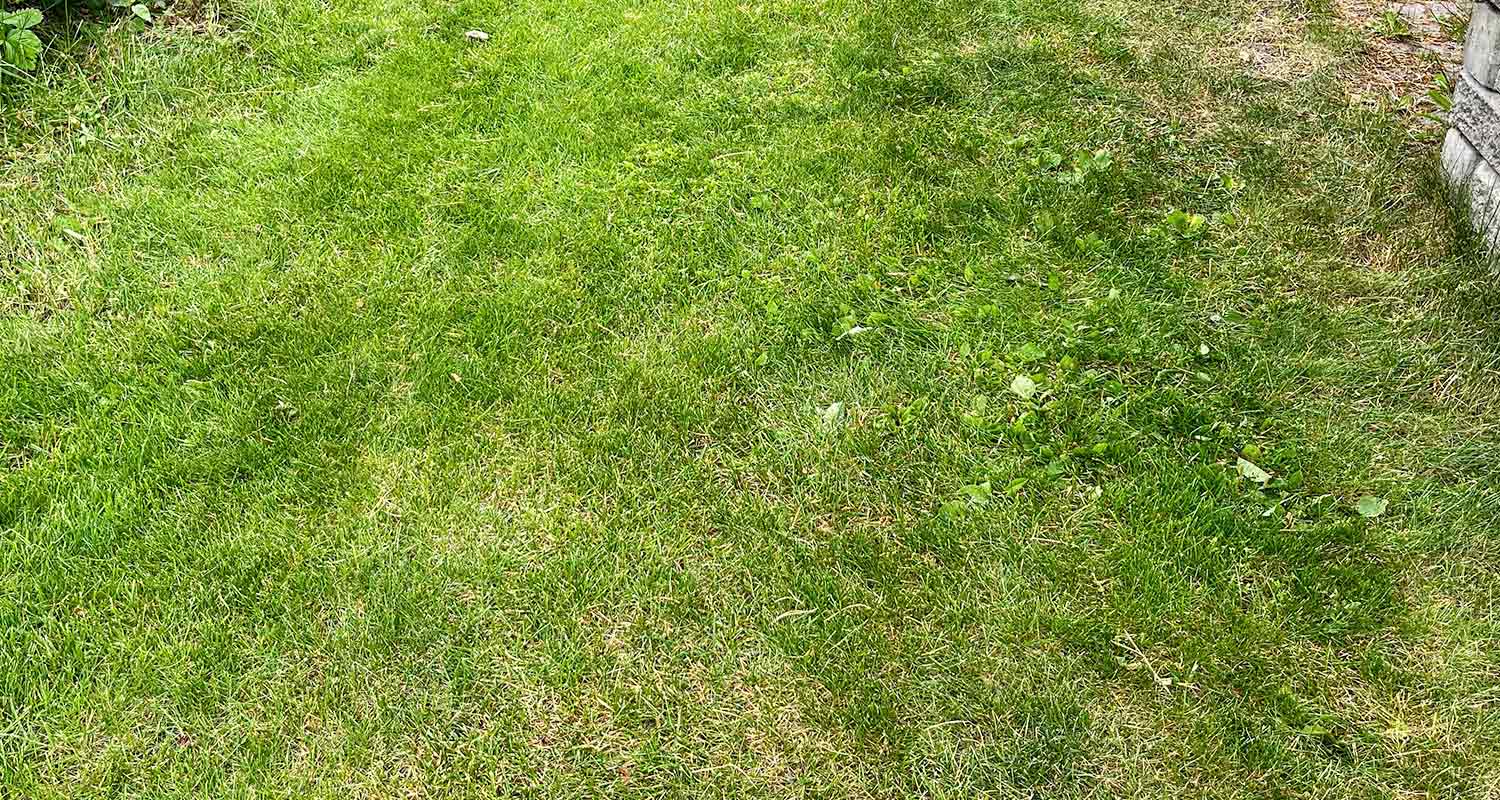 Tuotetestin tulos kuluttajalta Stiga Aero leijuvasta ruohonleikkurista, nurmikkoa ajon jäljiltä