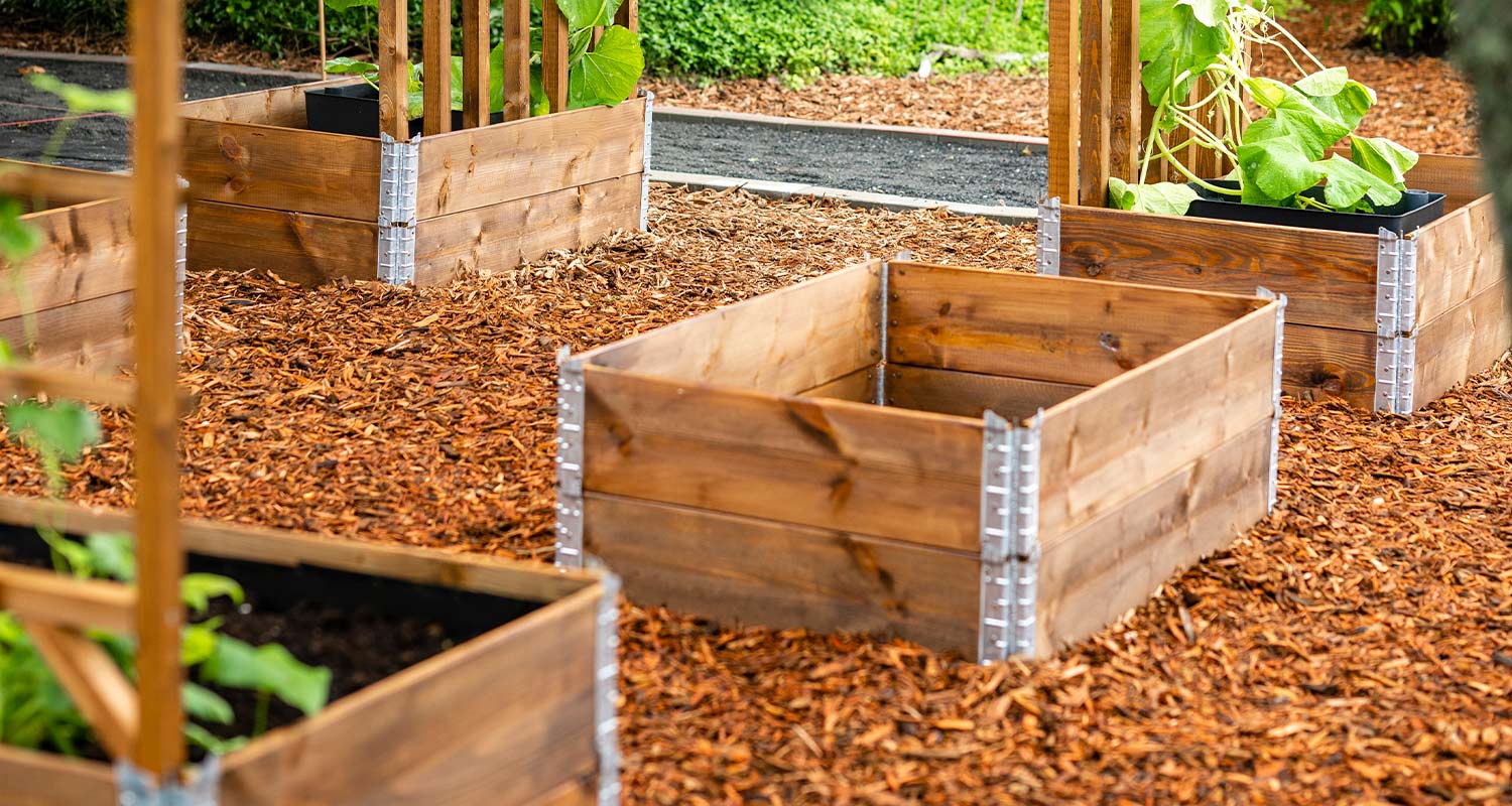 Lavakauluksia pihamaalla