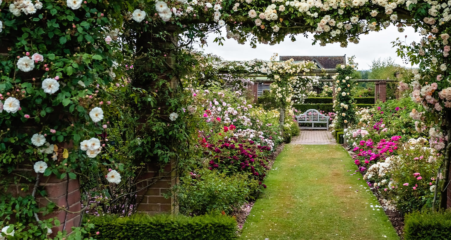 Englantilainen puutarha.