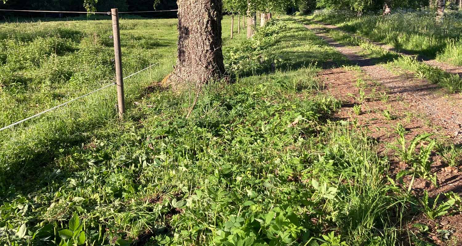 Lopputulos raivauksen jälkeen. 