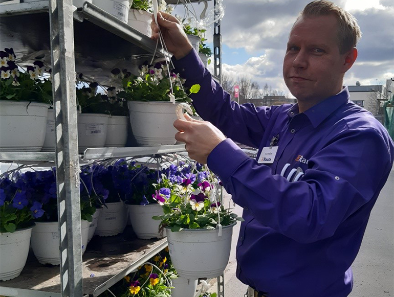 Violettipaitainen työntekijä ripustaa valkoiseen amppeliin purppura-keltaisia orvokkeja ulkona.